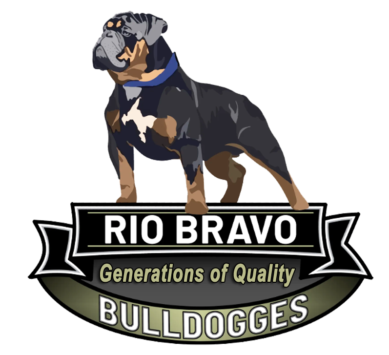 Rio Bravo Bulldogges